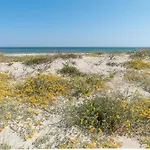 Attico Con Vista Mare A Appartement